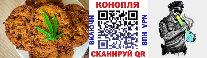 Canna-Cookies марихуана  Купить закладки  Барыш 