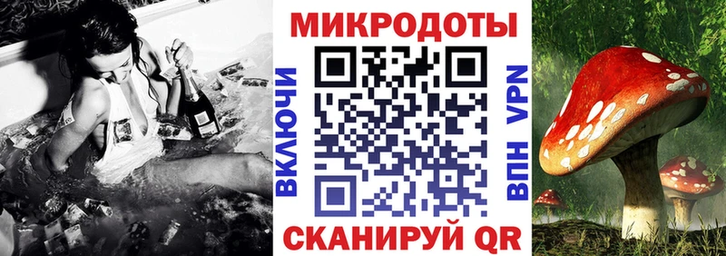 Купить закладки  Барыш  Псилоцибиновые грибы мухоморы 